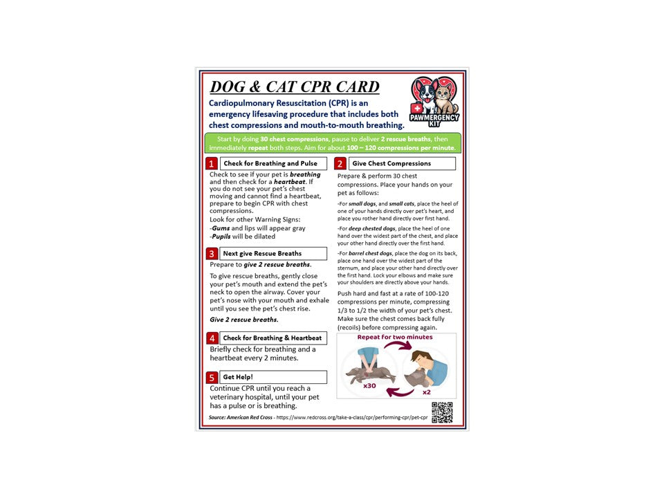 PawMergency Essentials Kit