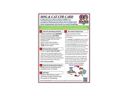 PawMergency Essentials Kit